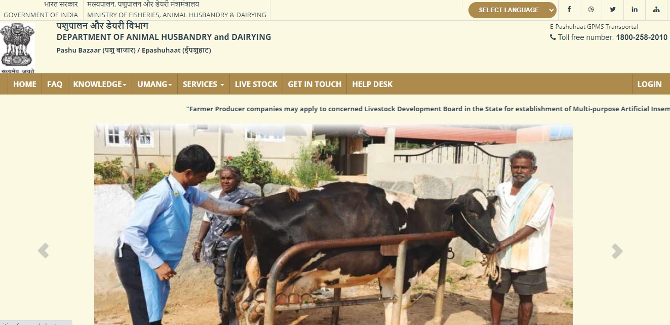 2022] डेयरी उद्योग (सम्पूर्ण जानकारी) | Dairy Farming in Hindi | Dairy  Farming ki Jankari | Dairy udhyog 2022